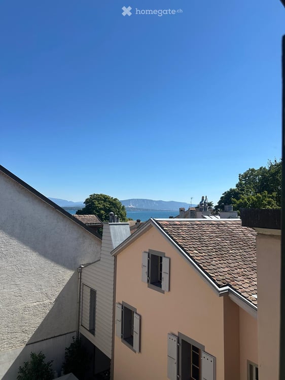 Maison historique avec terrasse au cœur de Coppet 12