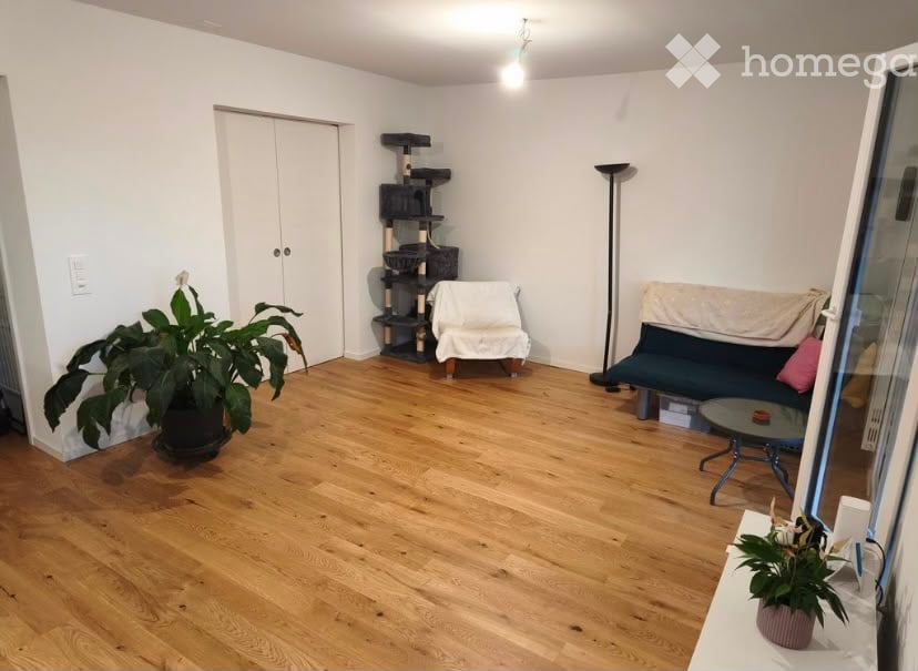 A small, well-lit living room with wooden flooring, a sofa, a coffee table, a cat tree, and a potted plant near the window.