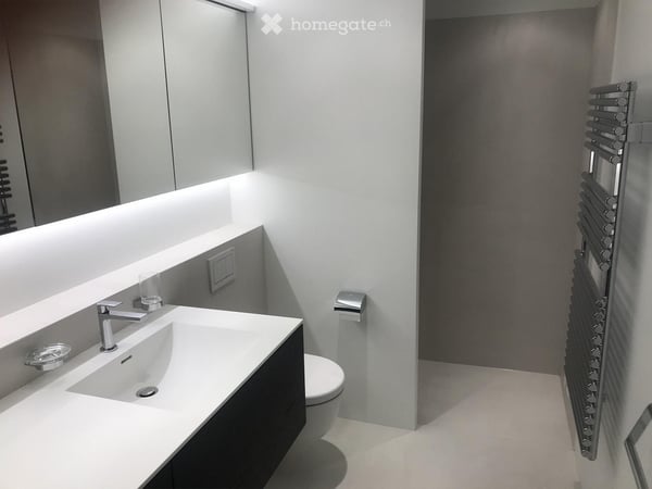 Moderne Dachwohnung mit ca. 182 m2 an gesuchter Wohnlage in Riehen/BS 8