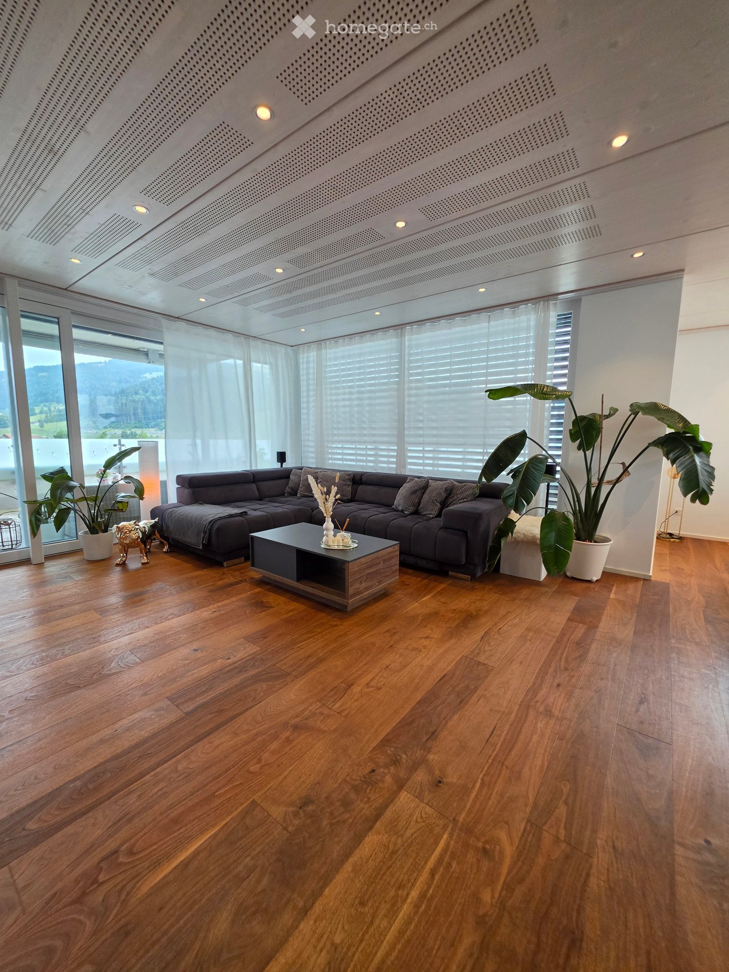 Modern living room with wooden flooring, large windows, grey sectional sofa, coffee table, and potted plants.