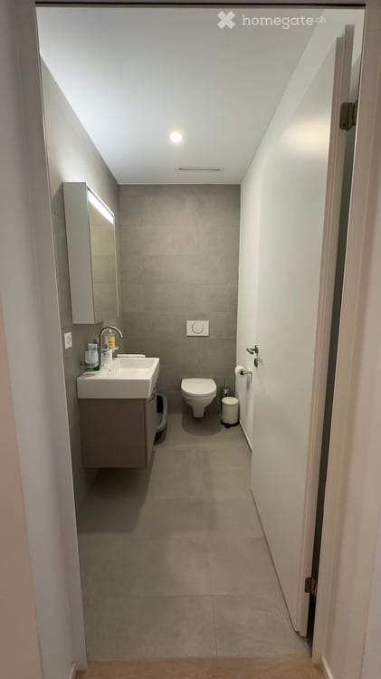 Quiet 3.5-Room Apartment in Immensee/Küssnacht am Rigi – New Build with Stunning Views 10