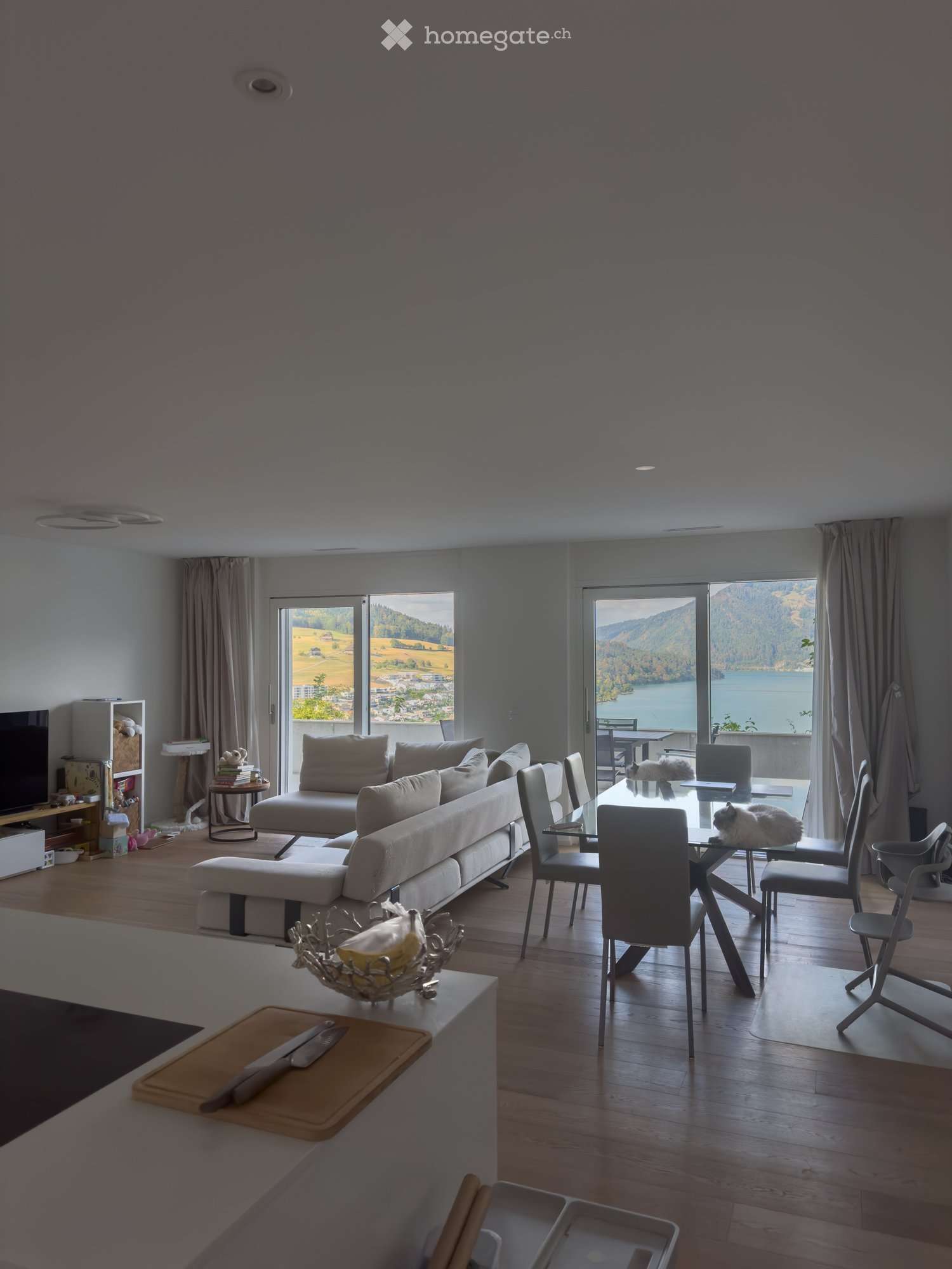 Modern living and dining area with large windows offering scenic views, featuring a sofa, coffee table, dining table with chairs, and a cat resting on the table.
