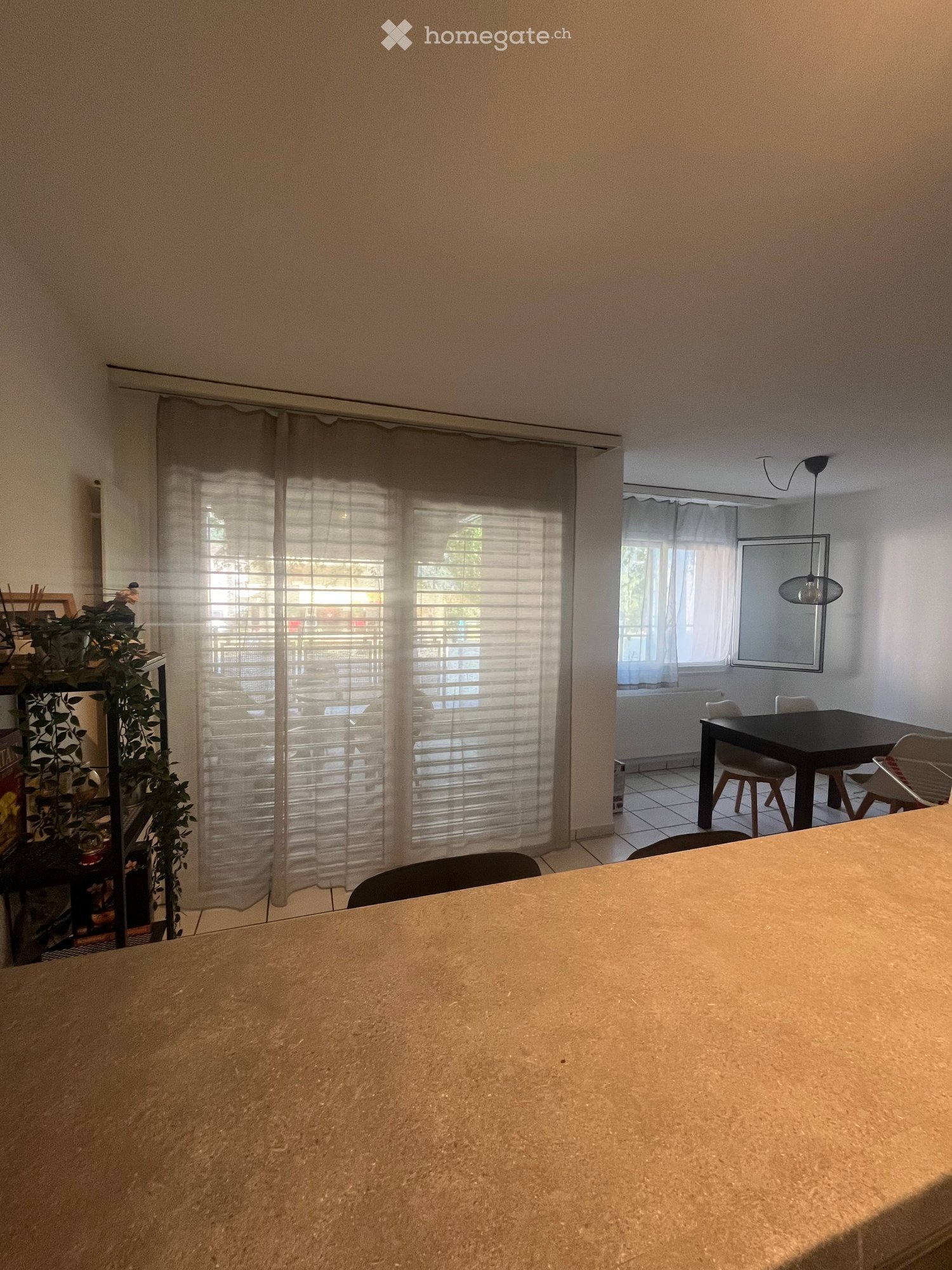 Open-plan living and dining area with large windows, a dining table with chairs, a shelf with plants, and a mirror on the wall.