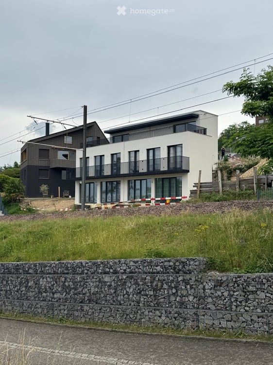 Moderne 5.5-Zimmer-Doppeleinfamilienhaushälfte Neubau 1. Bezug in Münchenstein 2