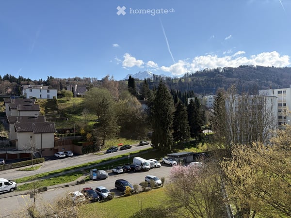 Kernsanierte, moderne 3.5-Zimmer-Wohnung mit Balkon und Garage in Luzern an top Lage mit Aussicht 10