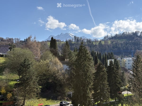 Kernsanierte, moderne 3.5-Zimmer-Wohnung mit Balkon und Garage in Luzern an top Lage mit Aussicht 9