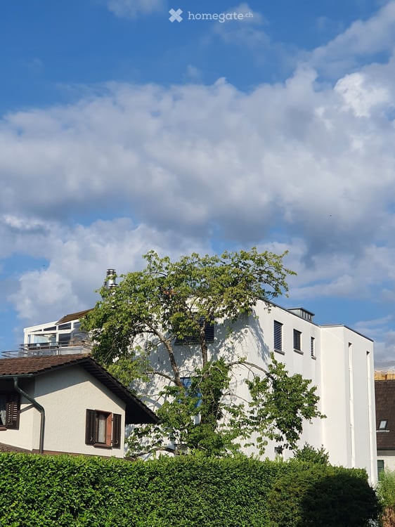 Charmante 4.5-Zimmer-Dachwohnung in Wettingen – modern, hell und tierfreundlich! 2