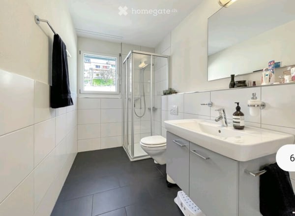 Helle 4½-Zimmer-Maisonette-Attikawohnung mit 60m² Terrasse + Weitsicht 5