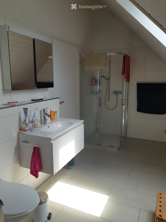 Charmante 3.5-Zimmer-Dachwohnung in Adlikon b. Regensdorf – ab 16. Oktober 2026