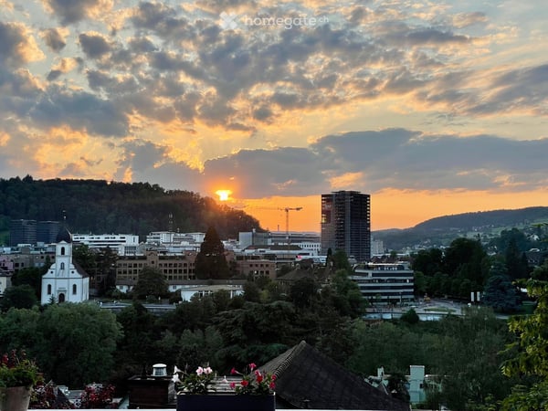 Erstbezug nach Totalsanierung: Loftartige 3.5-Zi (105 m2) mit Pool, Garten & Weitblick (NK inkl.) 4