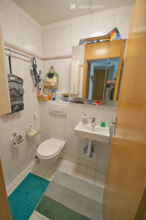 Charmante 3.5-Zimmer-Gartenwohnung in ruhiger Lage in Dänikon ZH 8