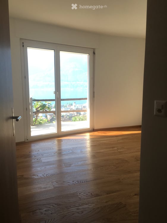 4.5 Zimmerwohnung mit spektakulärer Sicht auf den Lago Maggiore 22