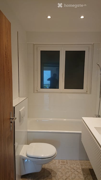 4.5 Zimmerwohnung mit spektakulärer Sicht auf den Lago Maggiore 13