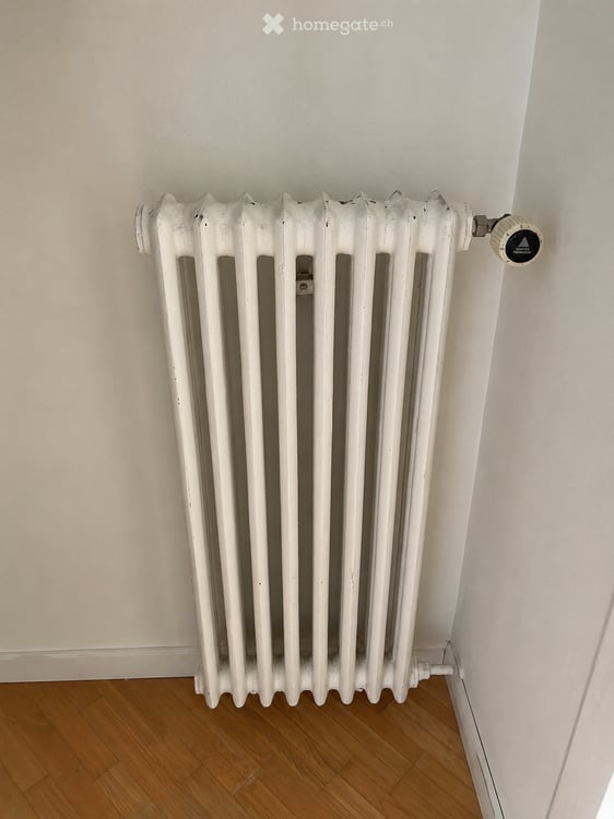 Charmante 3-Zimmer-Wohnung mit Garage an der Carmenstrasse 48 in Zürich zu verkaufen 5