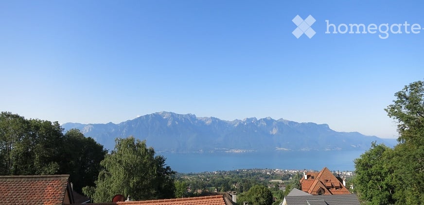 Panoramic view of a lake and mountain range from a rooftop or balcony, with surrounding trees and rooftops visible.