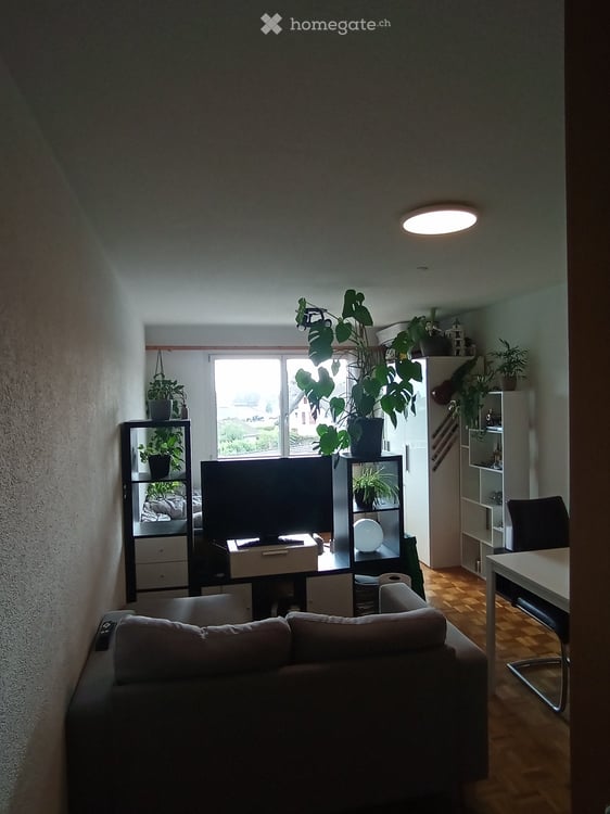 1-Zimmer-Wohnung in Wolfhausen 4
