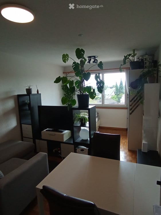 1-Zimmer-Wohnung in Wolfhausen 1
