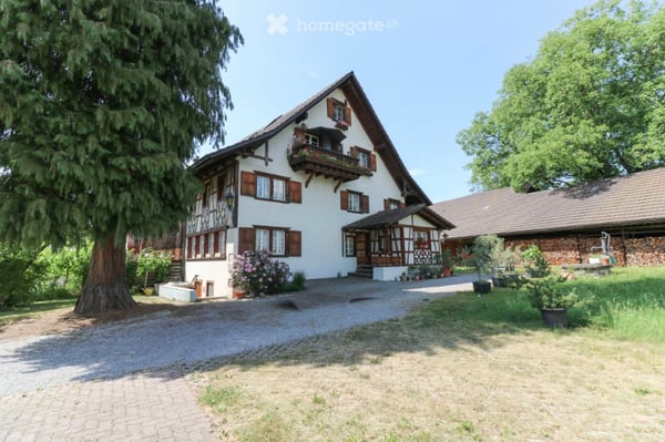 Bauernhaus mit Einliegerwohnung und Nebengebäude in Ottikon, Gemeinde Gossau 2