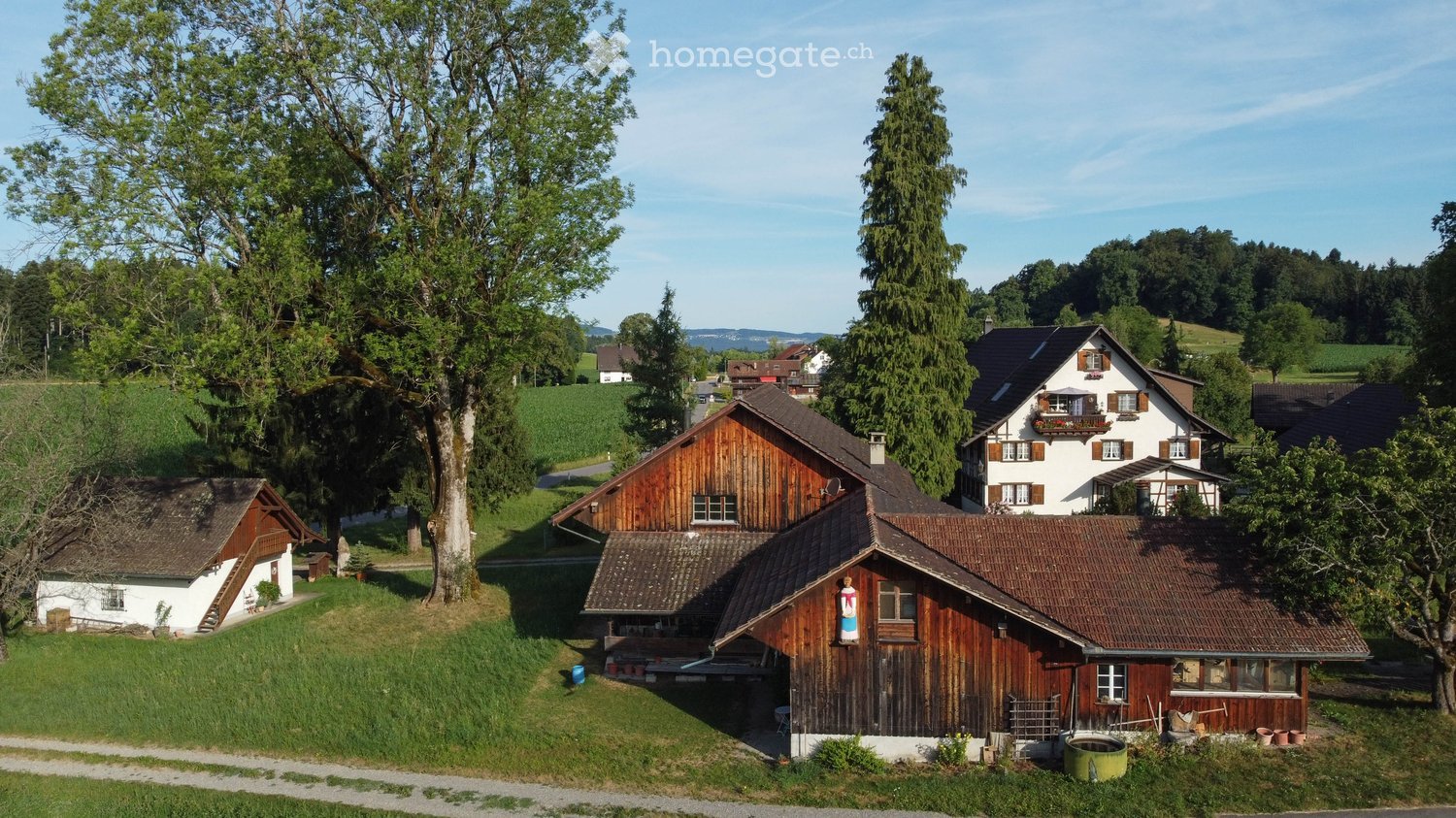 A rural village scene with several traditional houses, wooden barns, and lush greenery. The houses feature pitched roofs, wooden facades, and balconies, surrounded by trees and open fields.