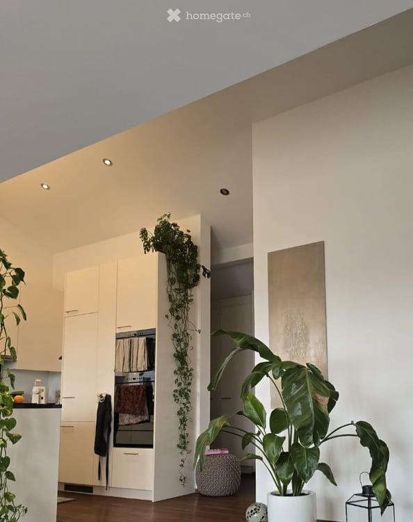 Charmante 2.5-Zimmer-Attikawohnung in Bubikon – modern, ruhig und mit herrlicher Aussicht 2