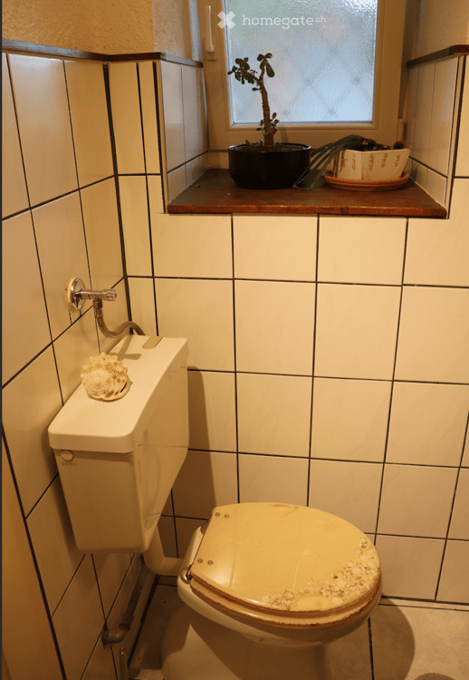 Spacieux duplex de 190 m² avec jardin privatif à 200 m du lac de Neuchâtel 4