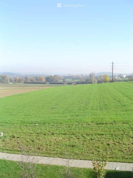 Sonnige ruhige Wohnung