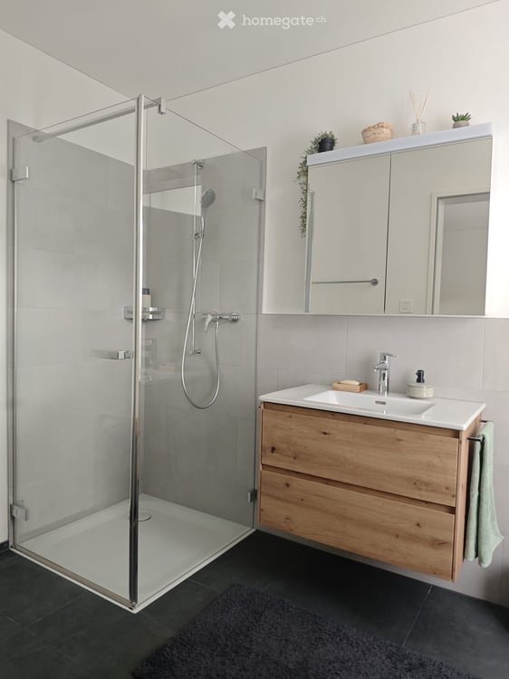 Moderne und grosszügige 5.5-Zimmer-Wohnung - Zu vermieten ab 16.09.2026 6