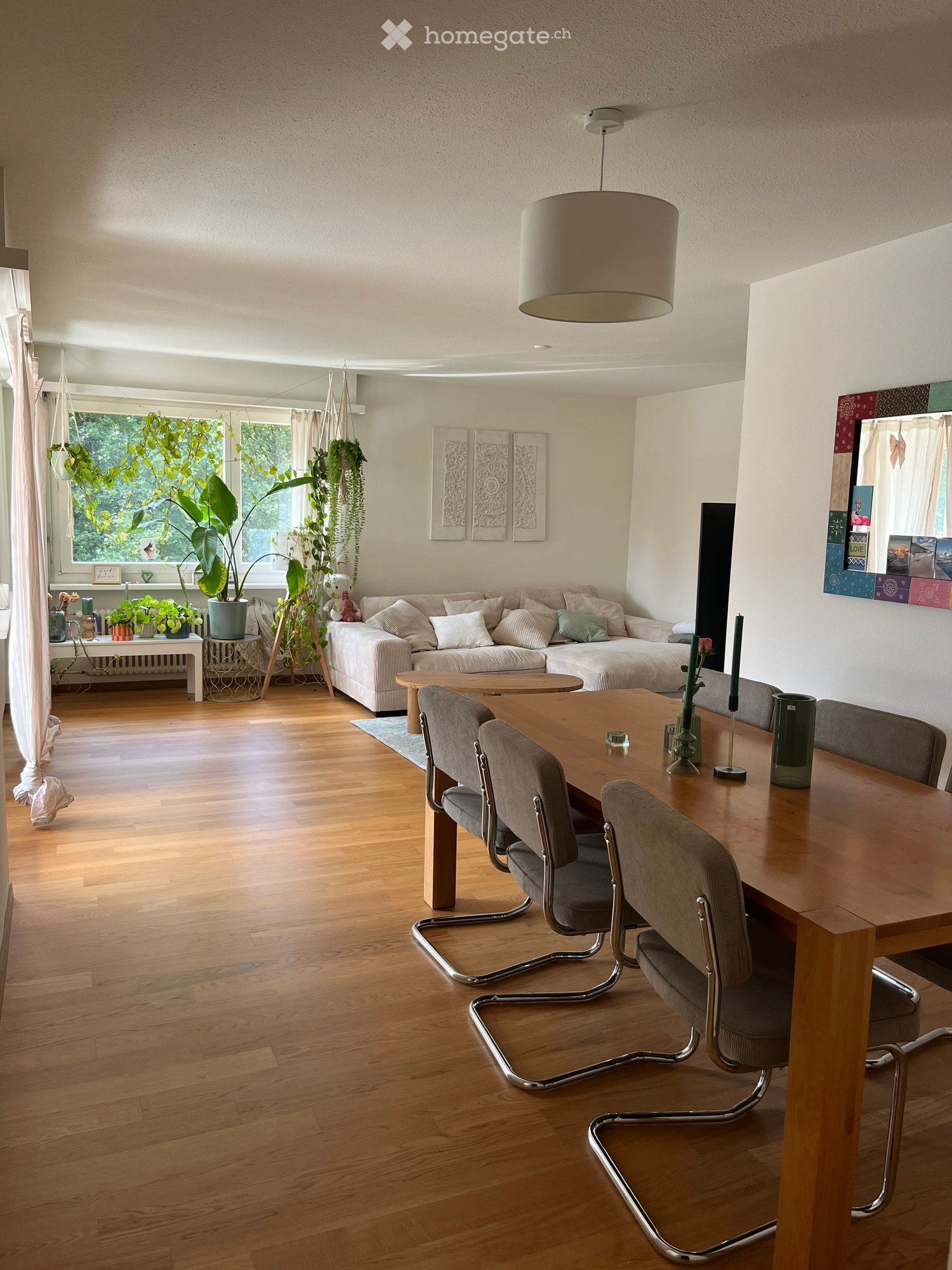 Open-plan living and dining area with wooden flooring, a sofa, coffee table, dining table with chairs, pendant light, and decorative plants.