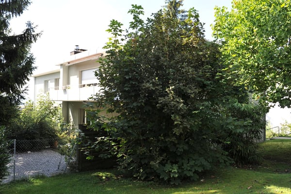 Aperçu de l'image de l'immobilier