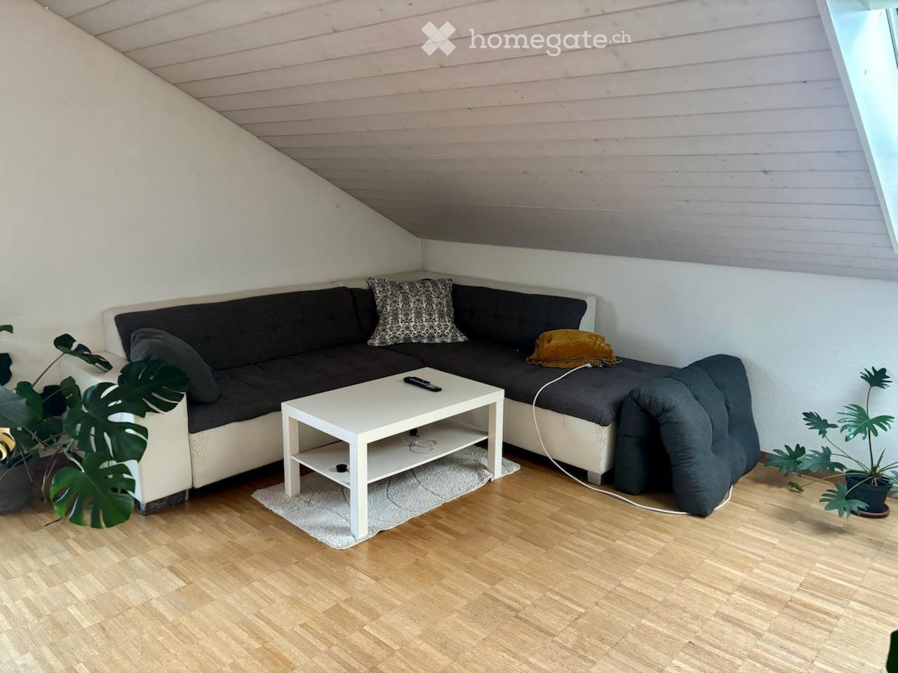 Modern living room with a dark grey sectional sofa, white coffee table, and potted plants on either side.