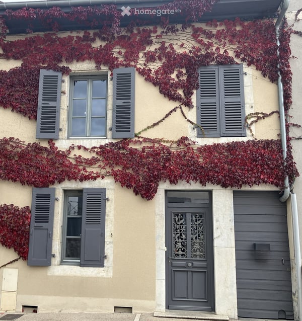 Maison de caractère de 8 pièces à Gex – Un bien d'exception alliant charme historique et modernité 1