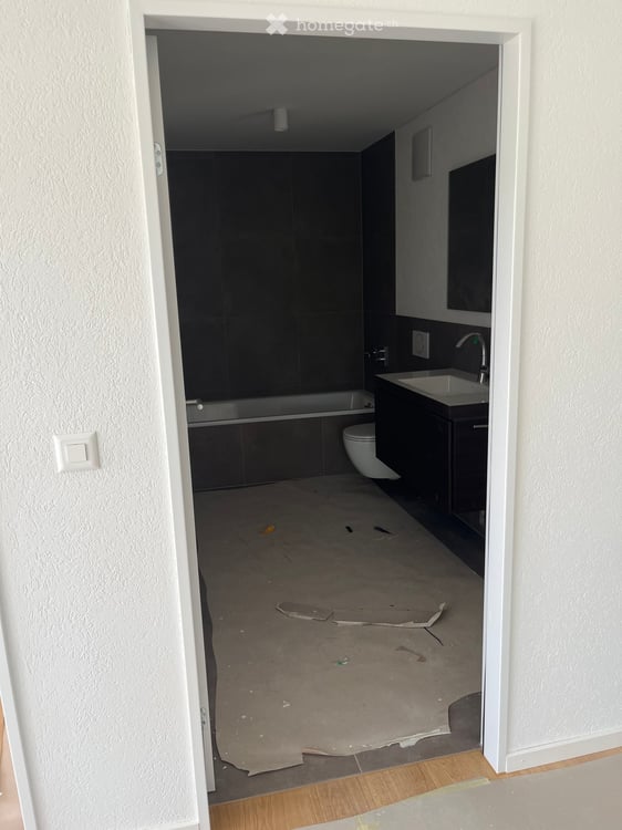 Loft in Brugg AG 7