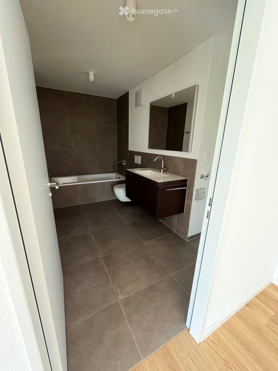 Loft in Brugg AG 7