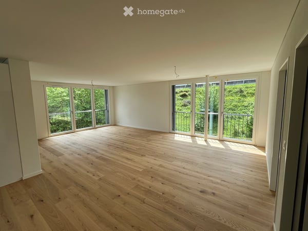 Loft in Brugg AG