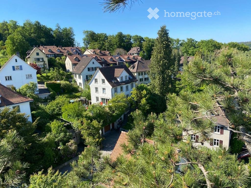Aerial view of a residential neighborhood with multiple houses, surrounded by lush green trees and well-maintained gardens.