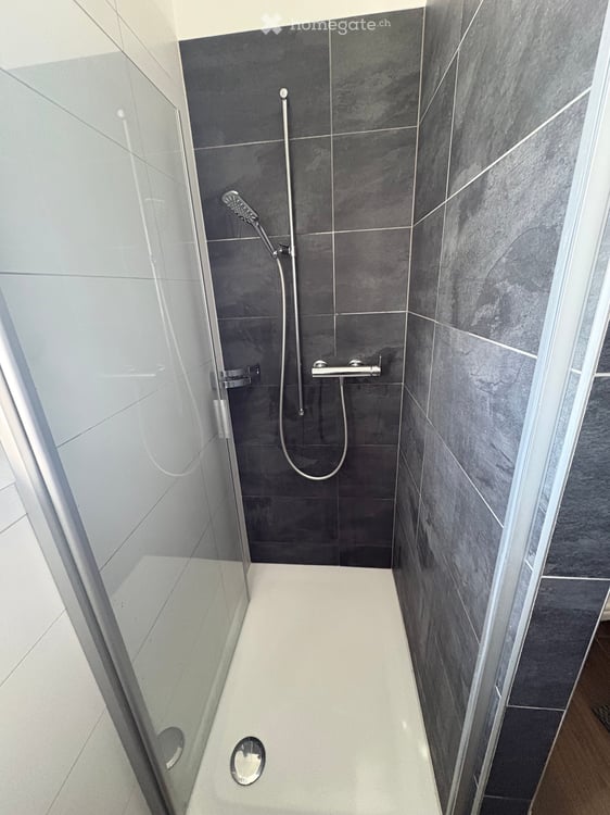 Appartement à St-Aubin FR 6