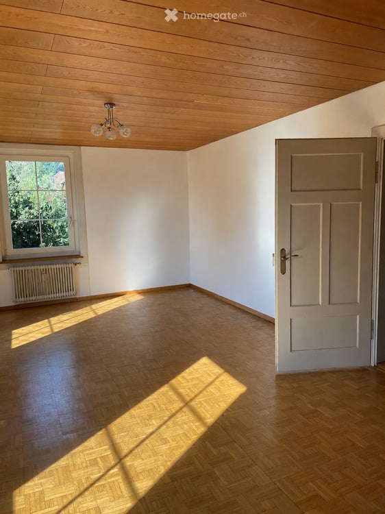 Charmanter Altbau mit grossem Garten 11