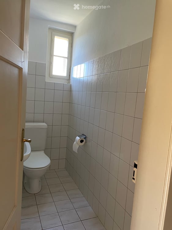 Charmanter Altbau mit grossem Garten 8