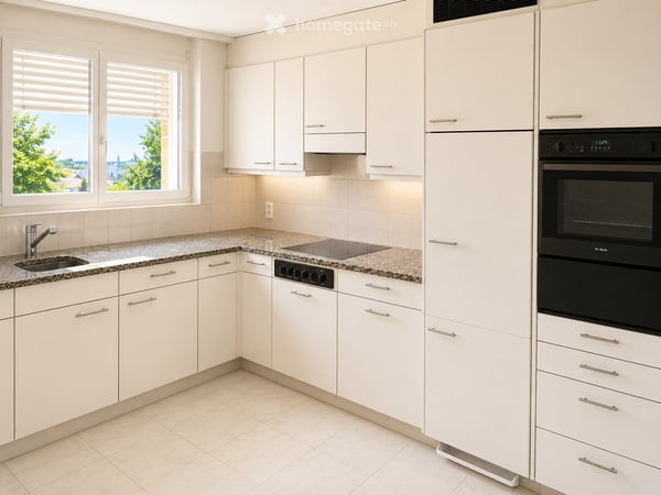 Ruhiges Penthouse mit See- und Alpenblick in Enge 6