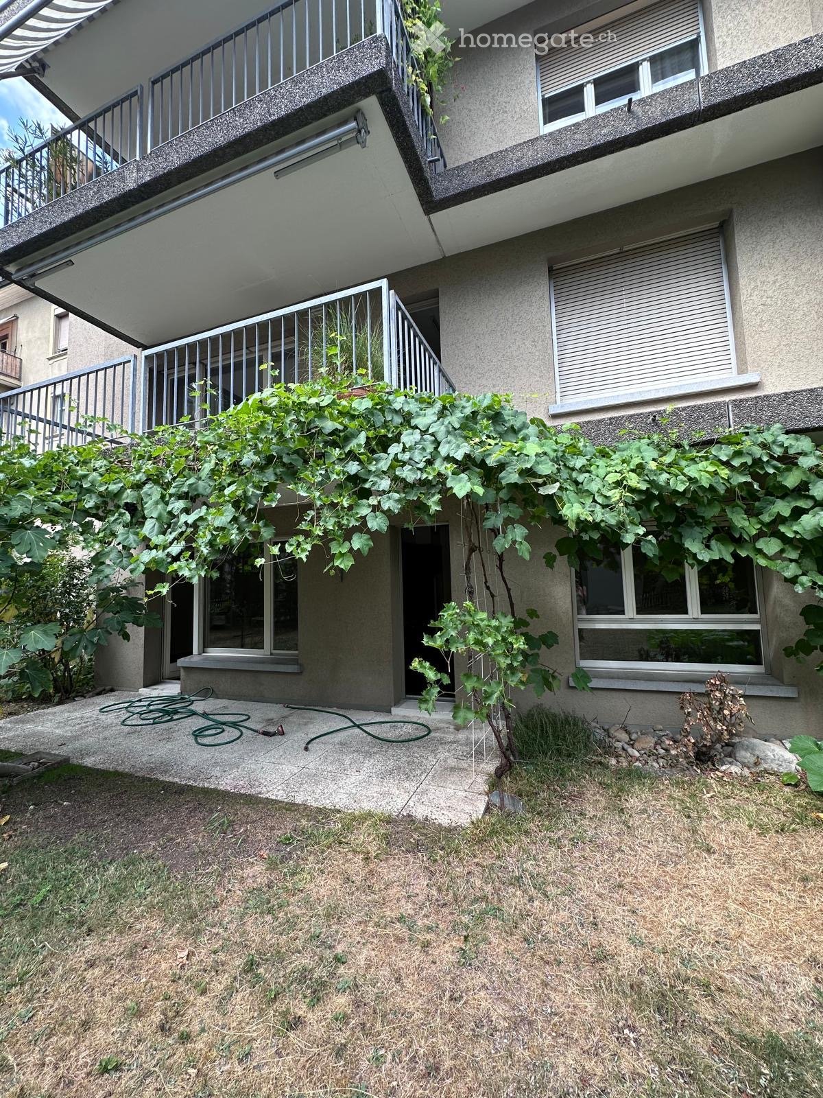 Garden area with a concrete patio, green vines climbing on the building, a metal railing, and a grassy lawn.