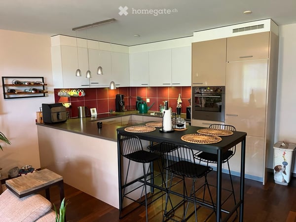 Modern apartment in a quiet setting 4