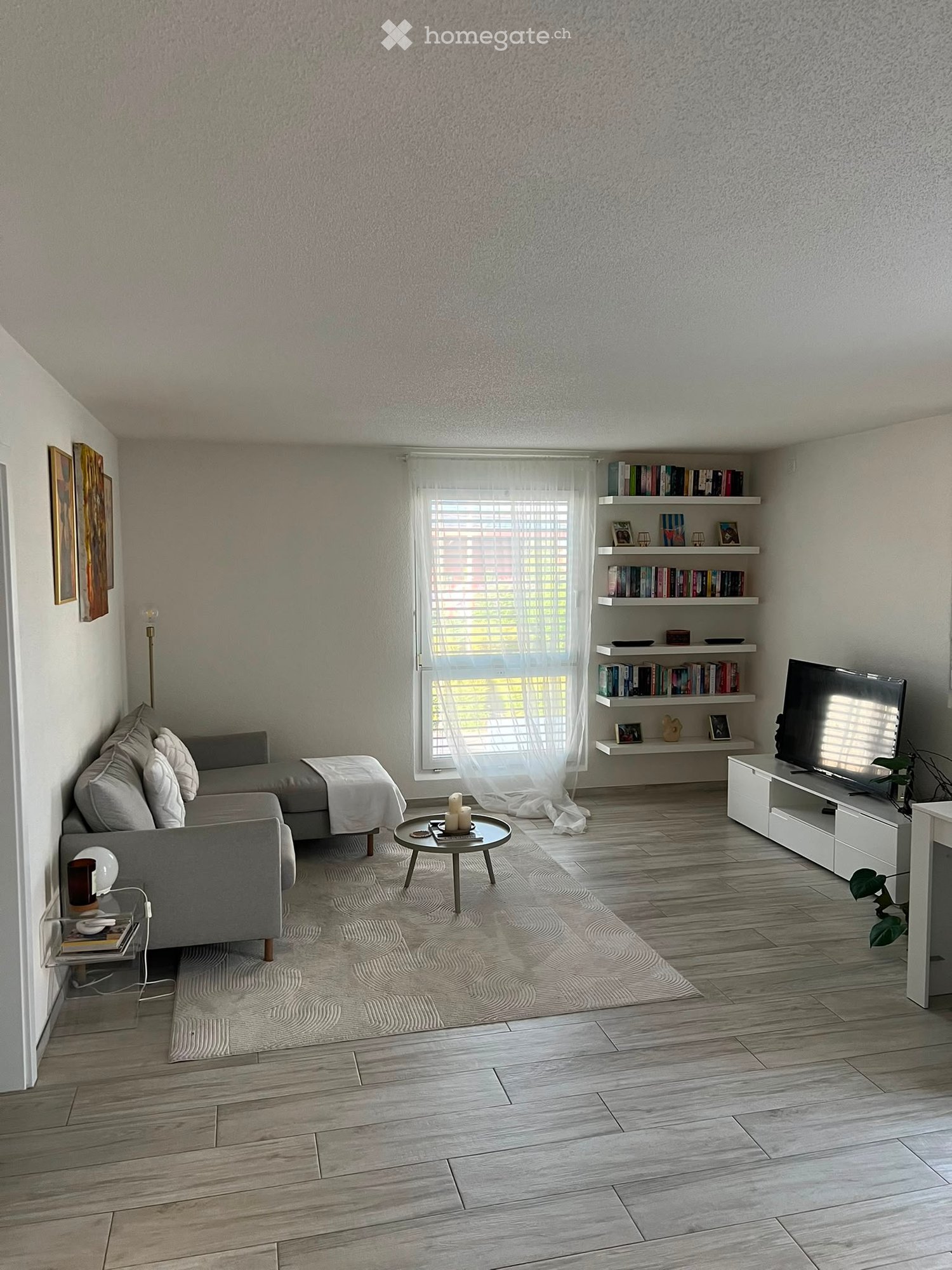 Modern living room with light grey sofa, coffee table, TV stand, bookshelf, and decorative items.
