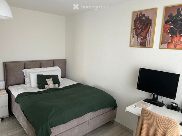 Helle 2.5-Zimmer-Wohnung mit Balkon in Opfikon 3