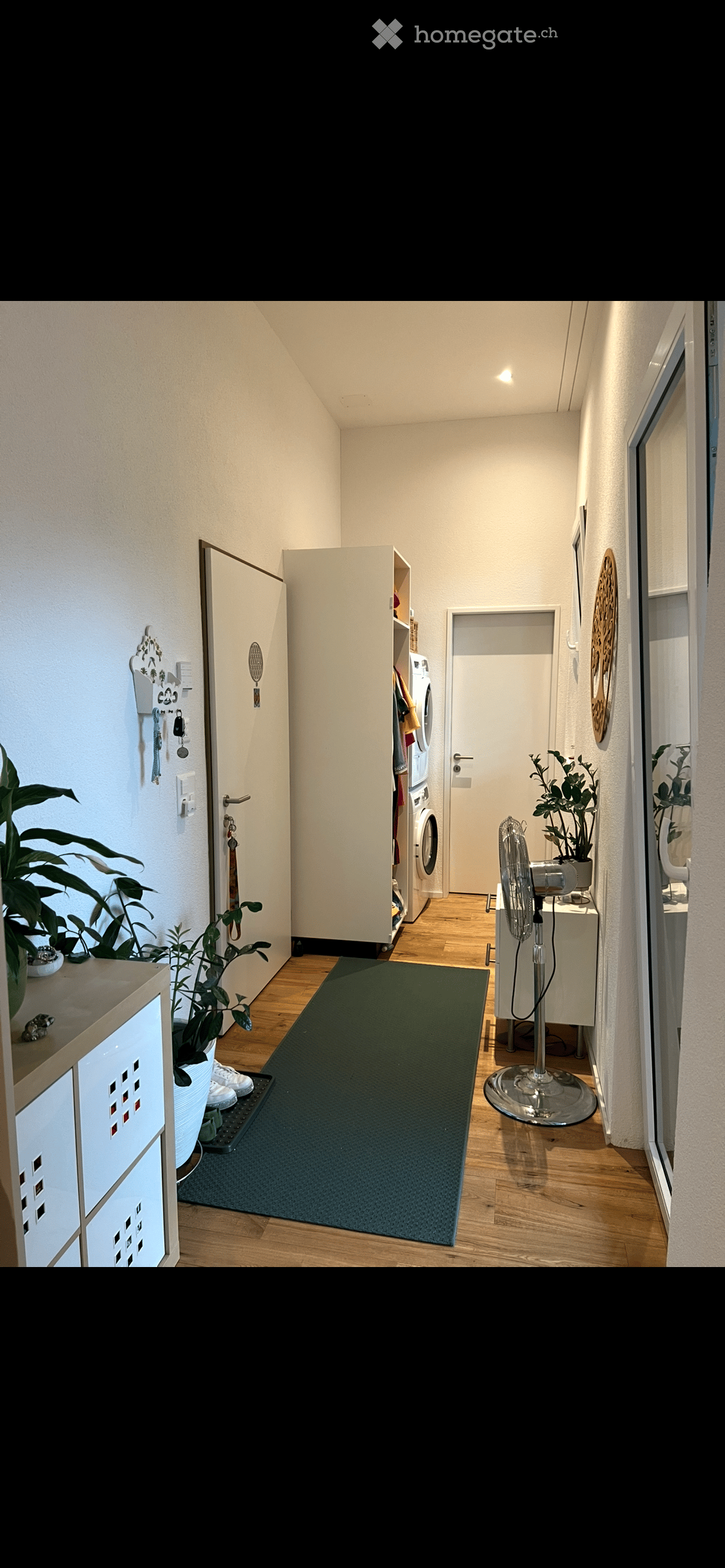 Open hallway with wardrobe, floor washing machine, rug, potted plants, fan, and a desk.