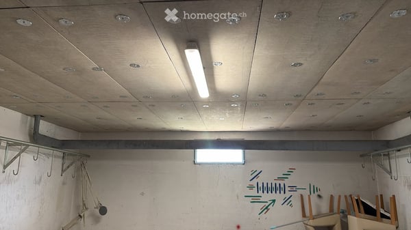 Dépôt/Atelier à Avully 3