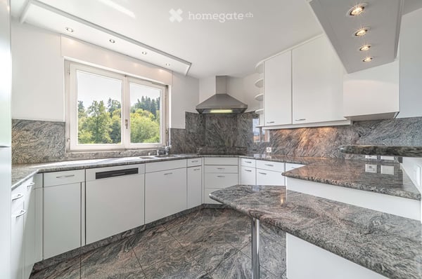 Traumhafte Terrassenwohnung mit unverbaubarer Sicht auf See und Berge 9