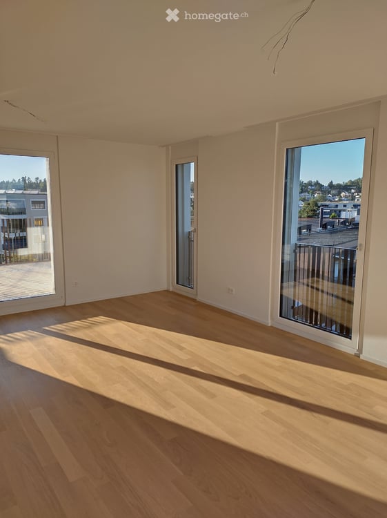 Moderne 2.5-Zimmer-Attikawohnung in Dietlikon 2