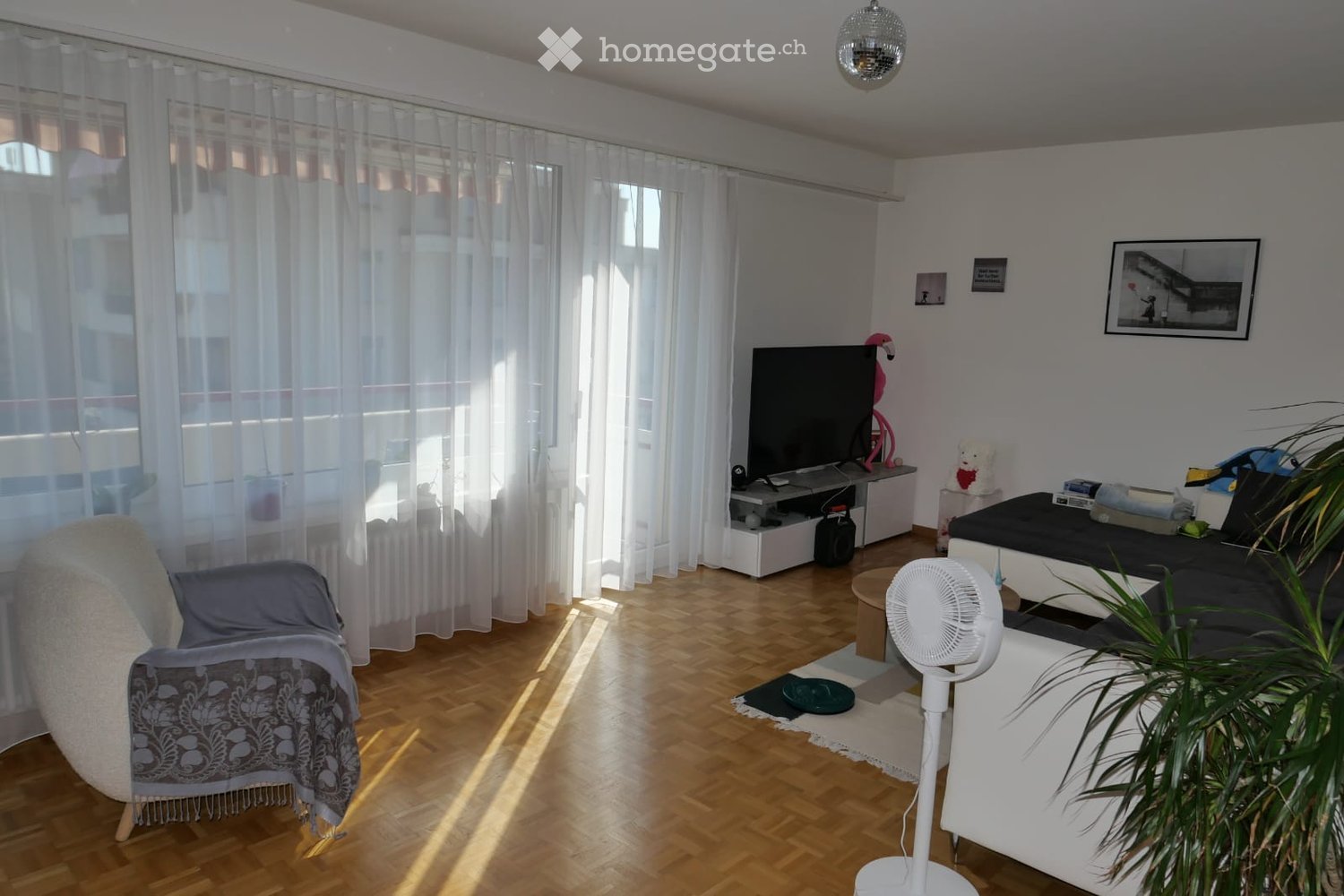 Bright living room with wooden flooring, large windows with sheer curtains, a sofa, armchair, coffee table, fan, TV, and decorative items.