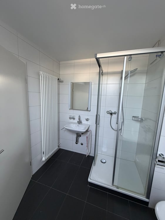 Charmante 2-Zimmer-Dachwohnung 6