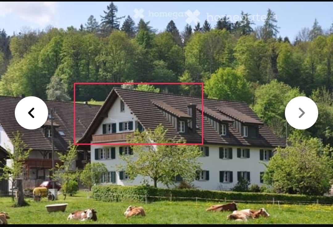 A large, two-story house with a brown tiled roof and white walls, surrounded by lush green trees and a grassy field with cows grazing.
